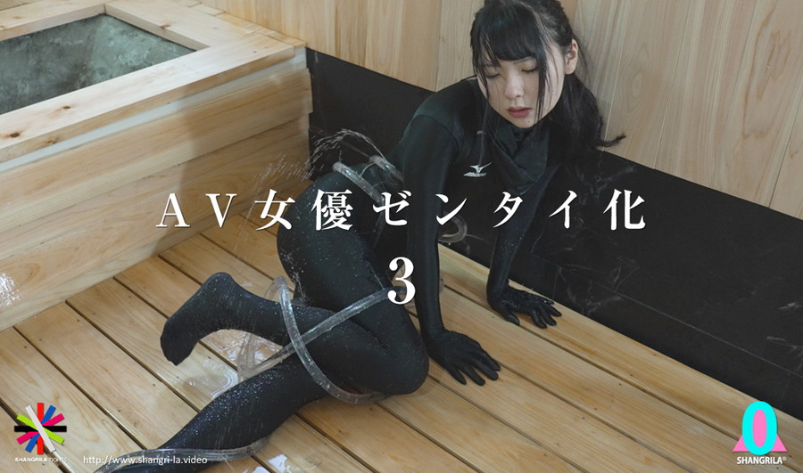 AV女優ゼンタイ化3 一条みお 涼花くるみ