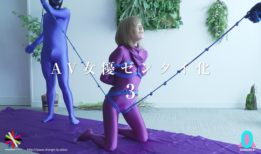 AV女優ゼンタイ化3 一条みお 涼花くるみ