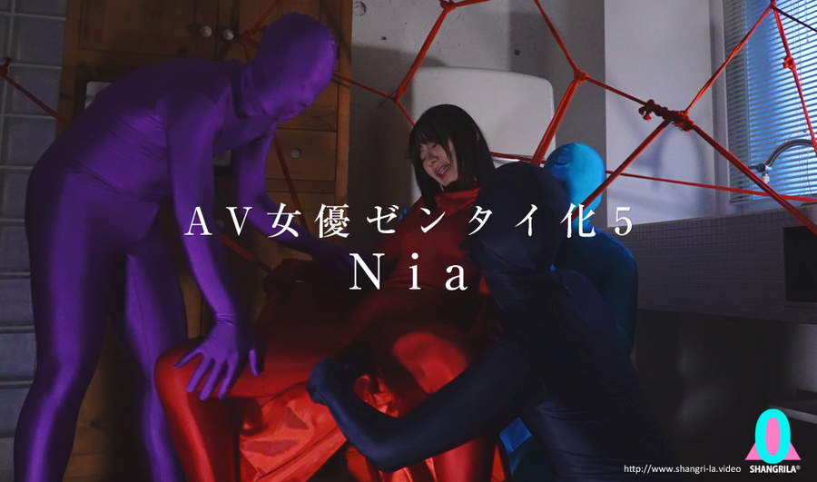 AV女優ゼンタイ化5 Nia