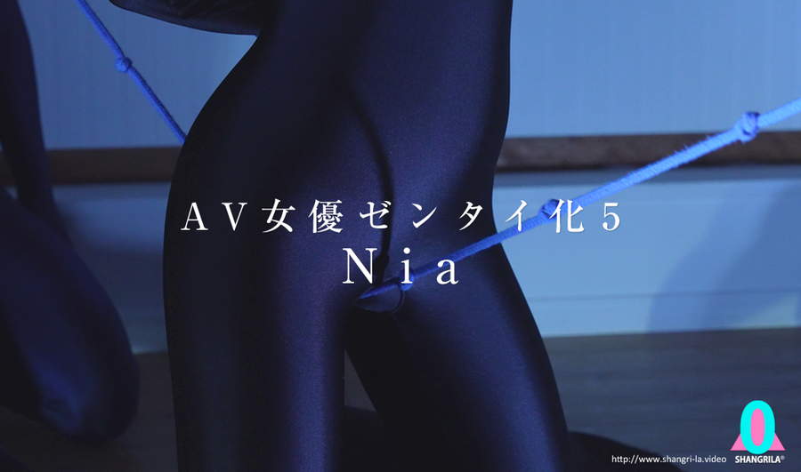 AV女優ゼンタイ化5 Nia