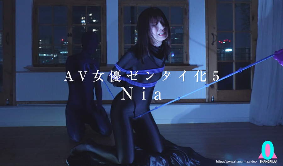 AV女優ゼンタイ化5 Nia