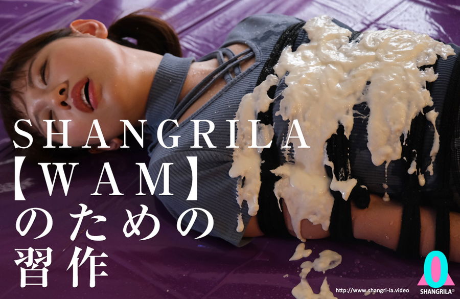 SHANGRILA 【WAM】のための習作