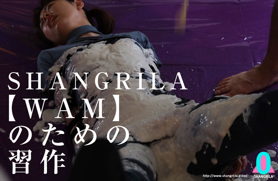 SHANGRILA 【WAM】のための習作