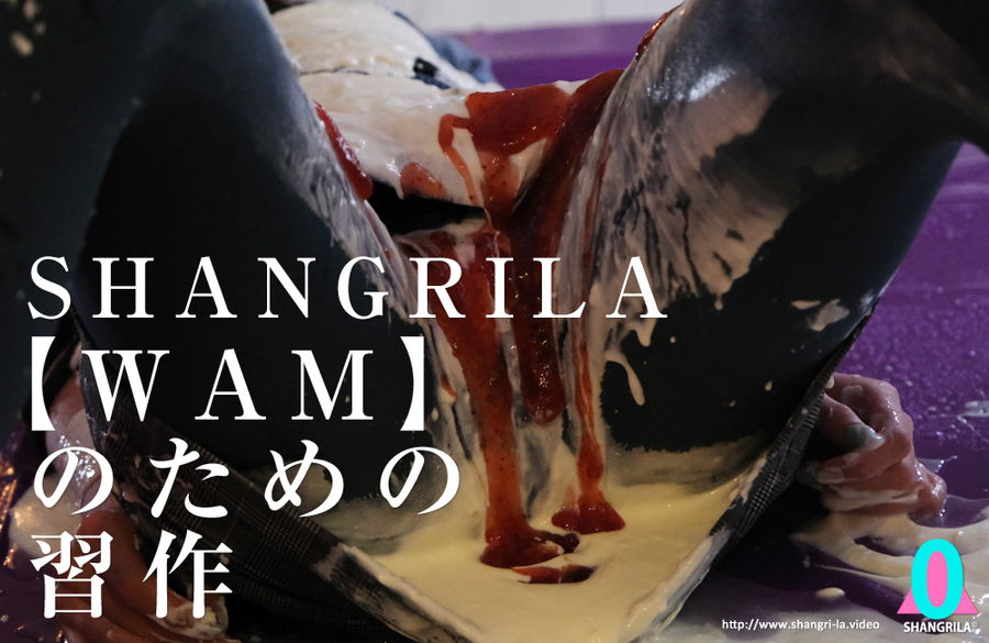 SHANGRILA 【WAM】のための習作