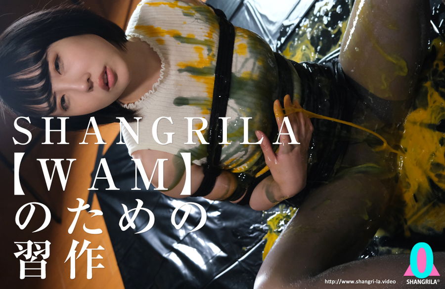 SHANGRILA 【WAM】のための習作