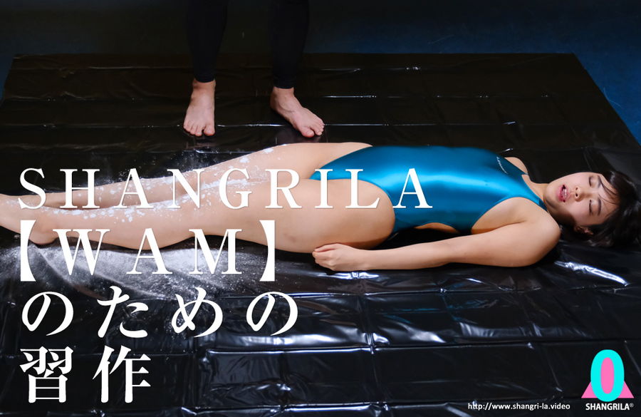 SHANGRILA 【WAM】のための習作