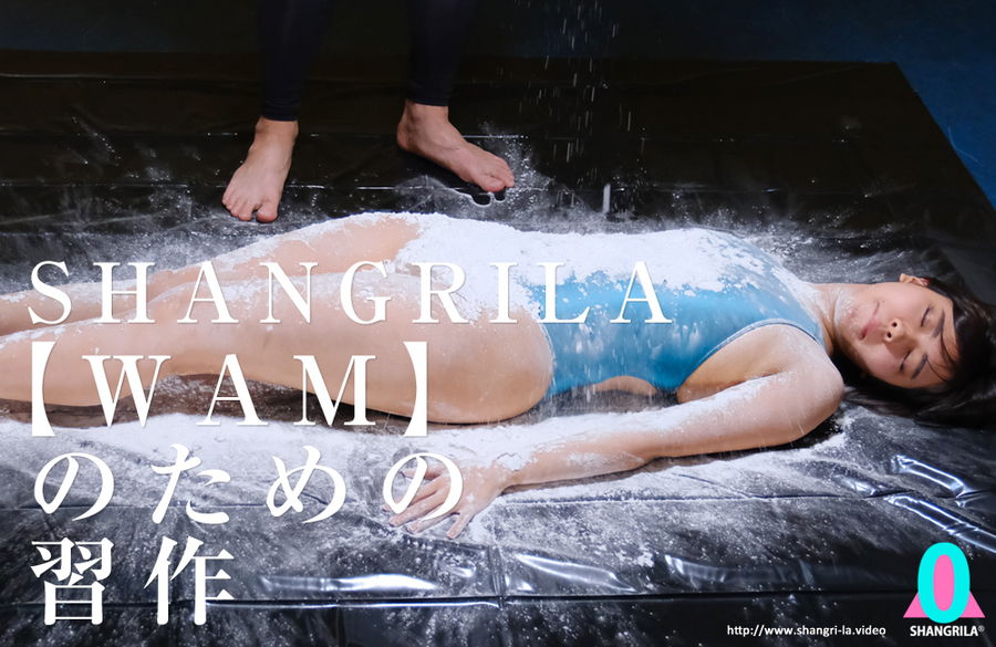 SHANGRILA 【WAM】のための習作