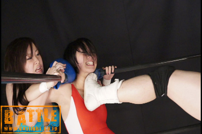 【特16】PRO-WRES TAG MATCH MIXED Vol.4