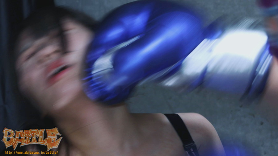 バトル2026福袋　迎春特別ファイトセット