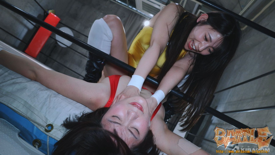 【DVD版】PRO-STYLE THE BEST NEO 16