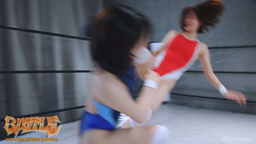 【DVD版】PRO-STYLE THE BEST NEO 23