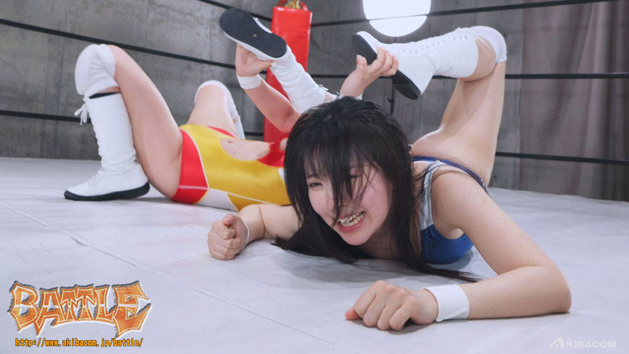 【DVD版】PRO-STYLE THE BEST NEO 27