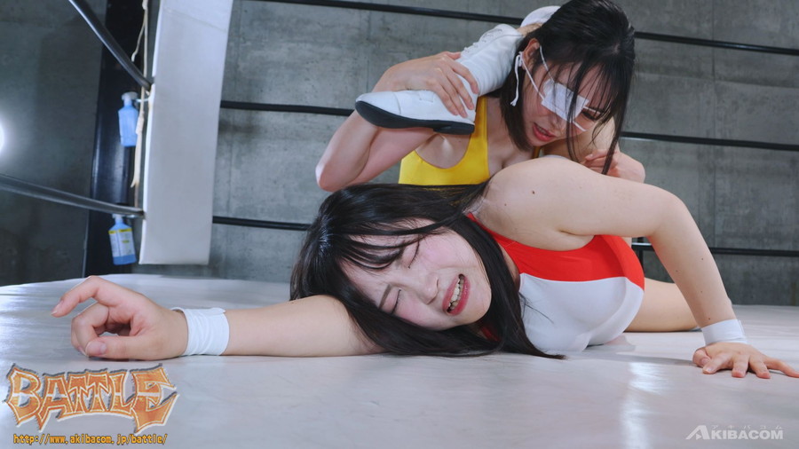 【Blu-ray版】PRO-STYLE THE BEST NEO 20