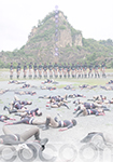 女戦闘員コクーン　後編