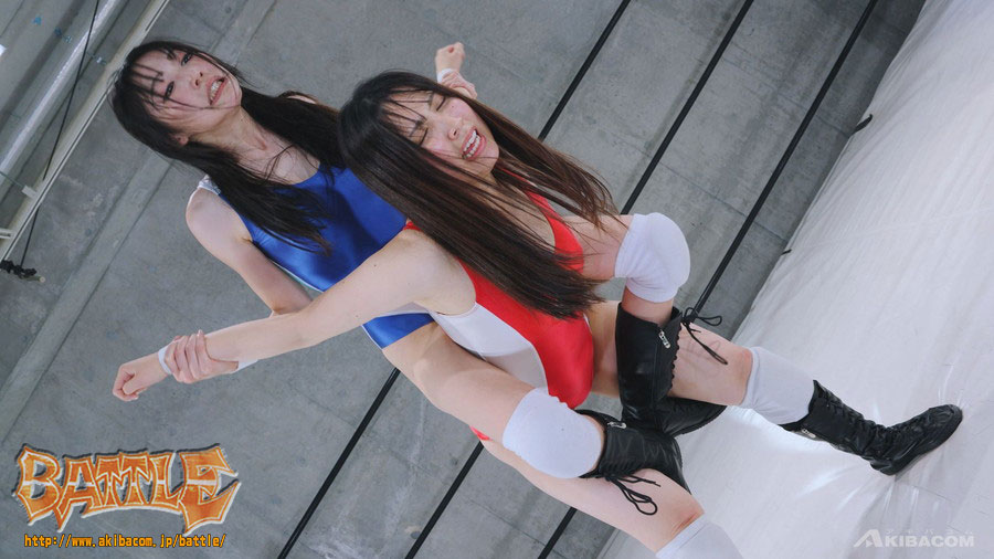 【DVD版】PRO-STYLE THE BEST NEO 25