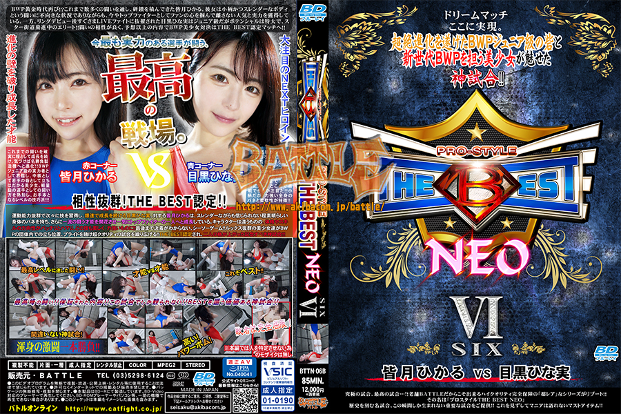 【Blu-ray版】PRO-STYLE THE BEST NEO VI