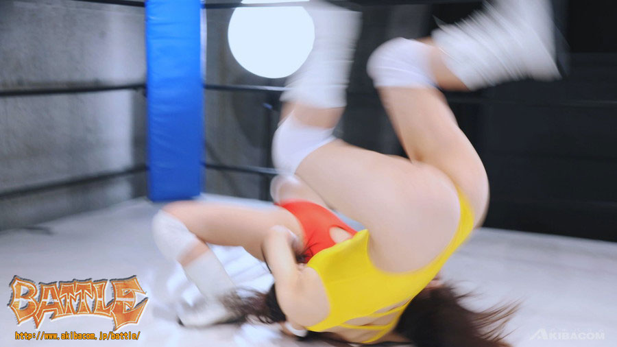 【Blu-ray版】PRO-STYLE THE BEST NEO 24